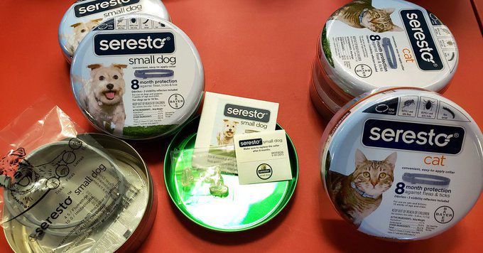 Coupons for bayer shop seresto flea collar