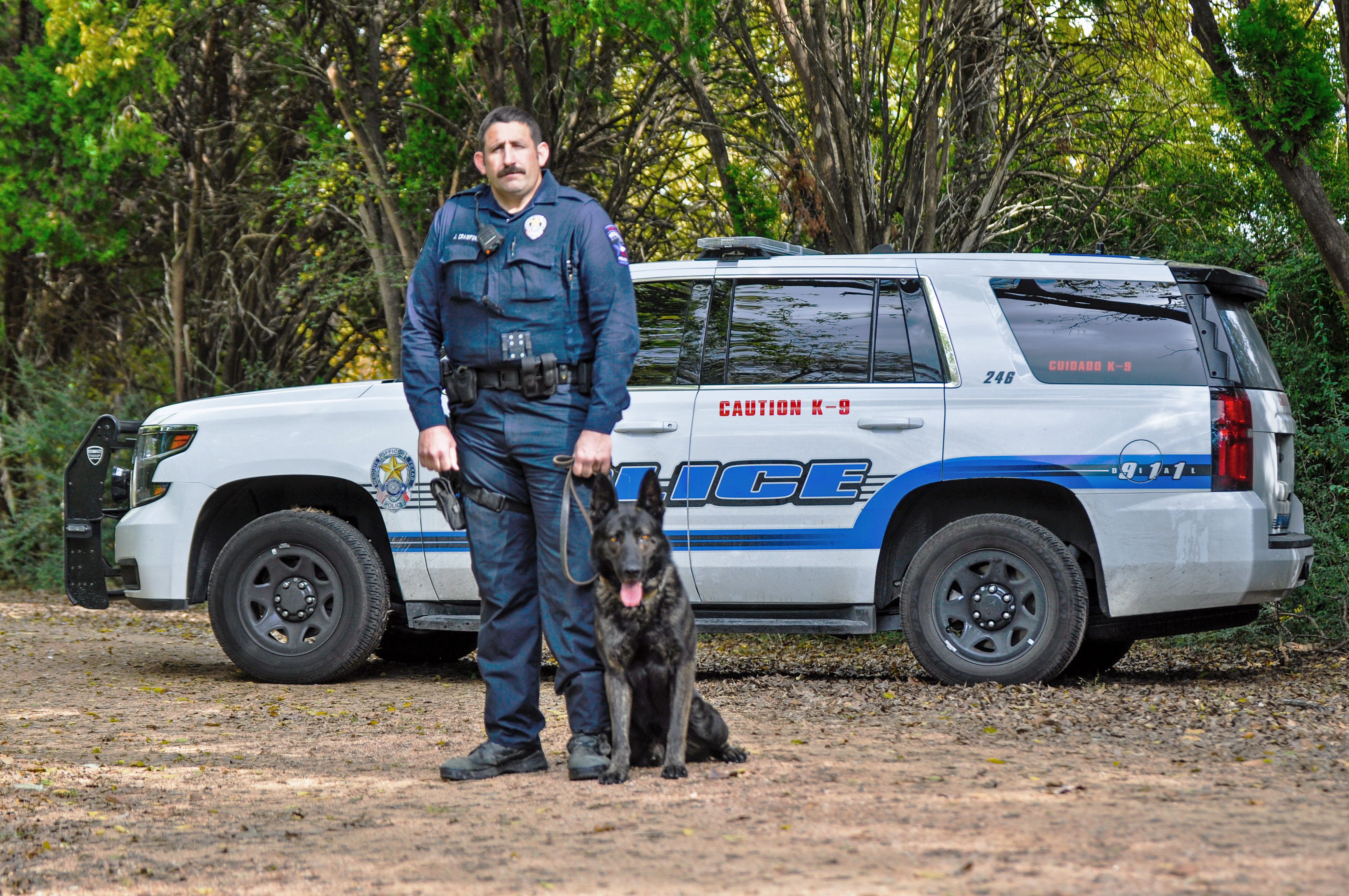 Police Cat.  Working dogs, Law enforcement, Police