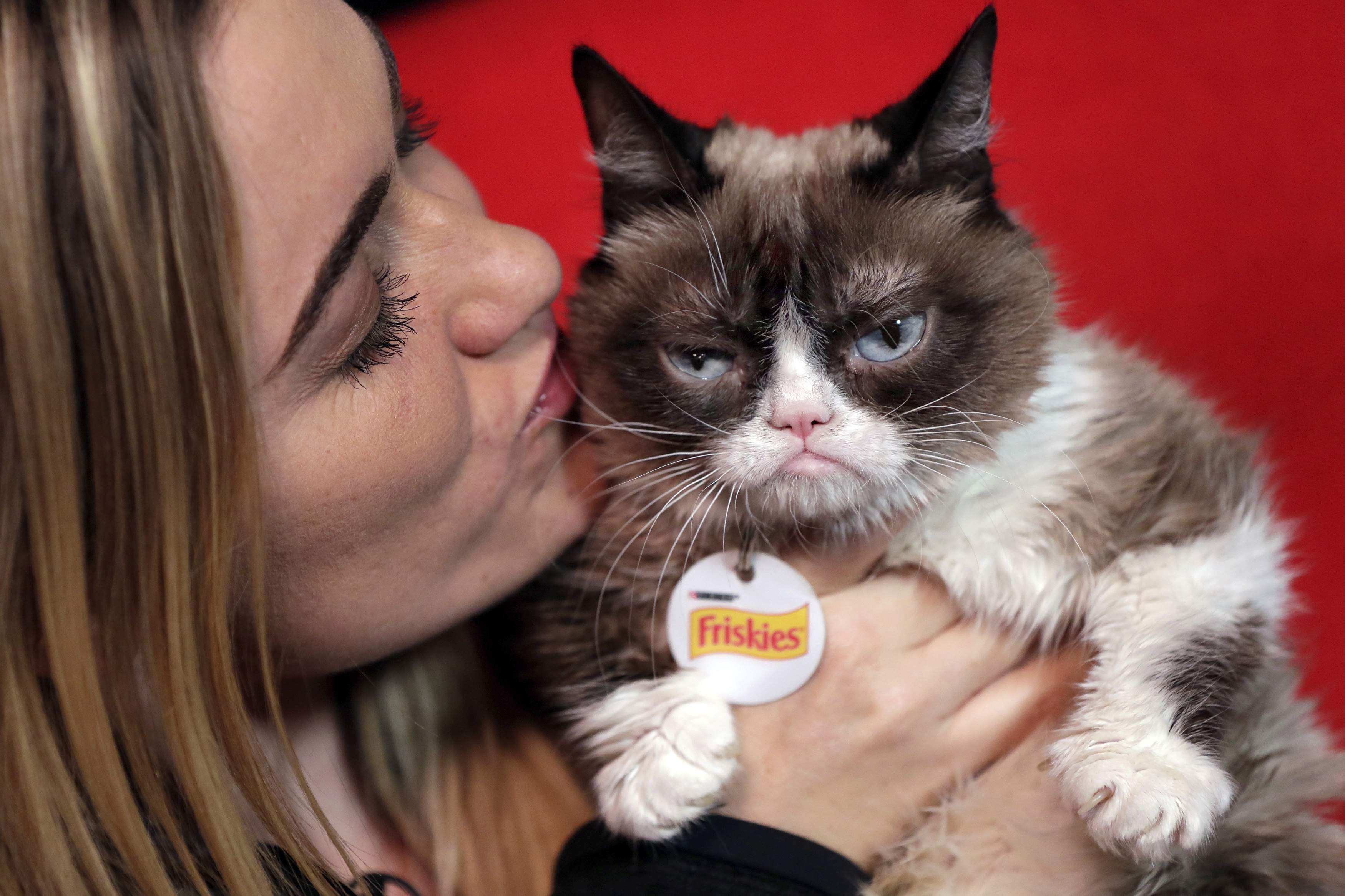 Grumpy Cat wins copyright lawsuit