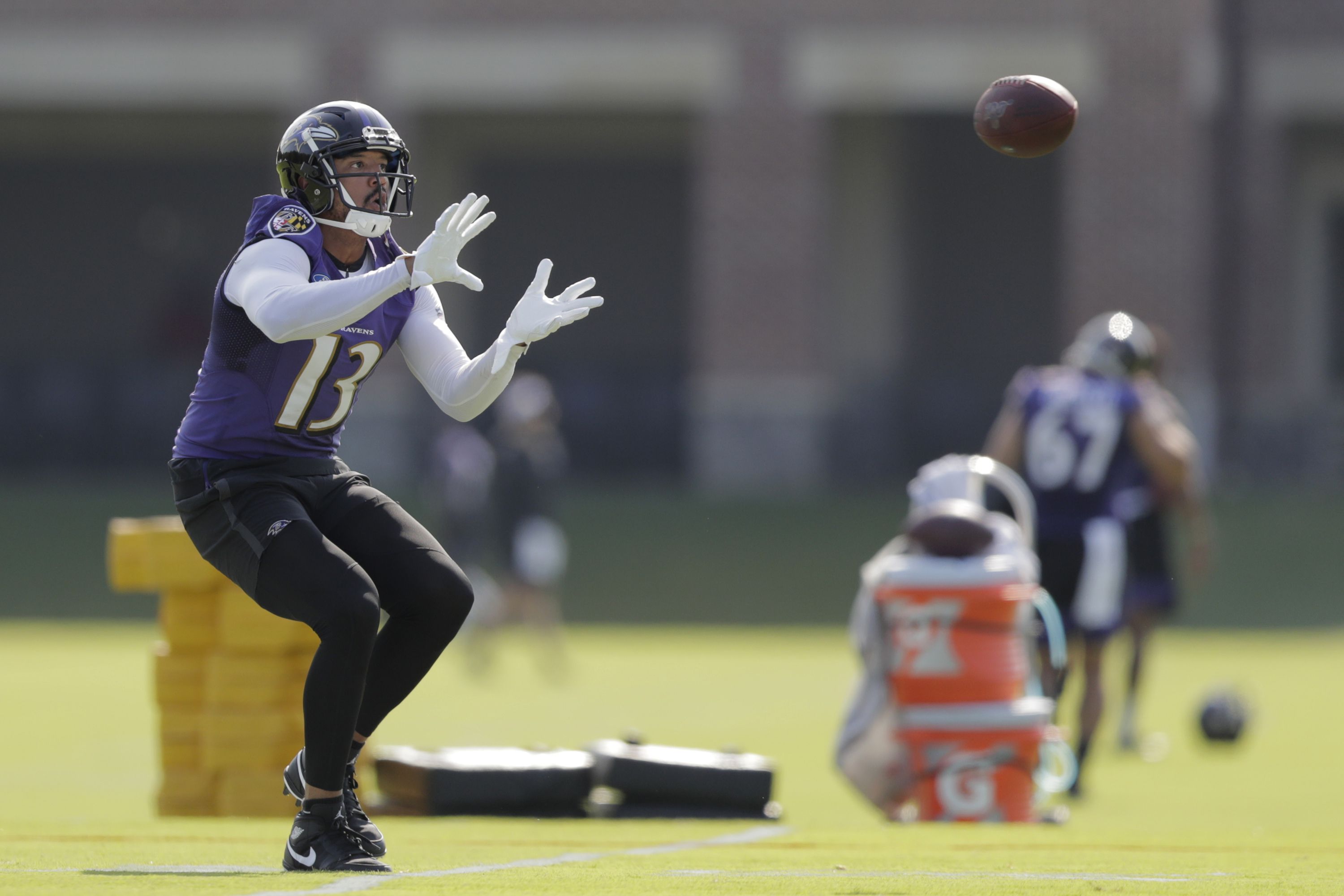 Baltimore Ravens Work Out Wide Receiver Michael Floyd